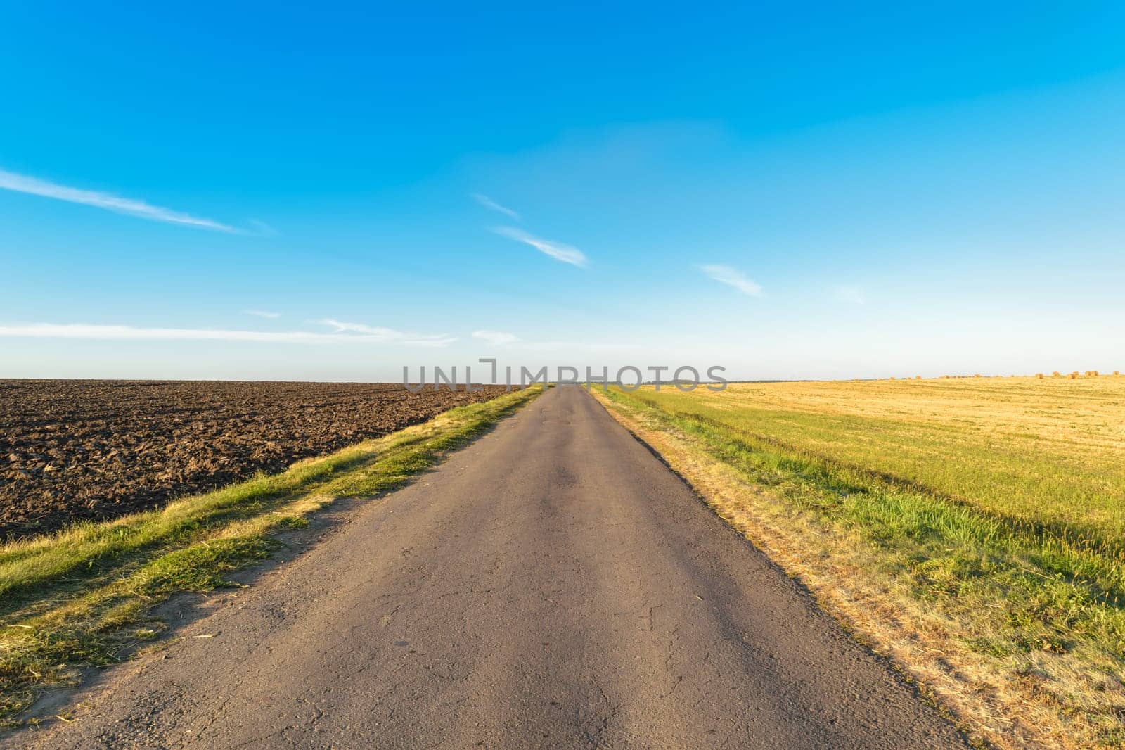 Asphalt road that passes through the field and going beyond the horizon