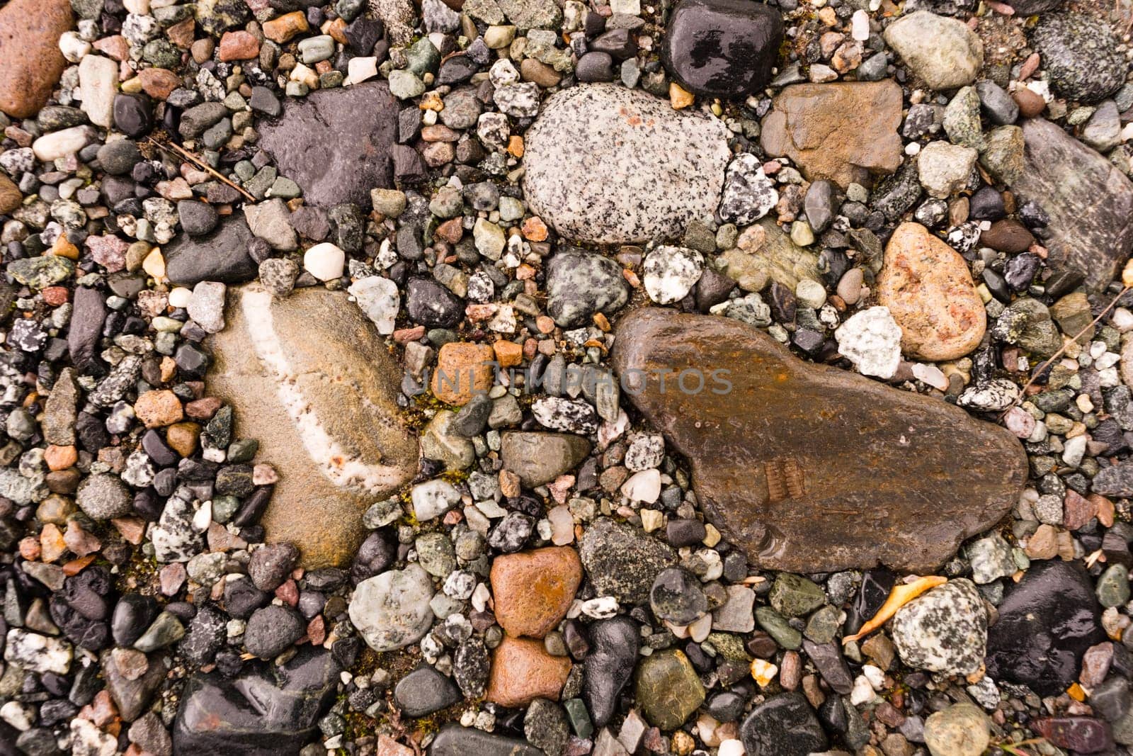 A wide variety of rocks make up the ground at river's edge in Alaska