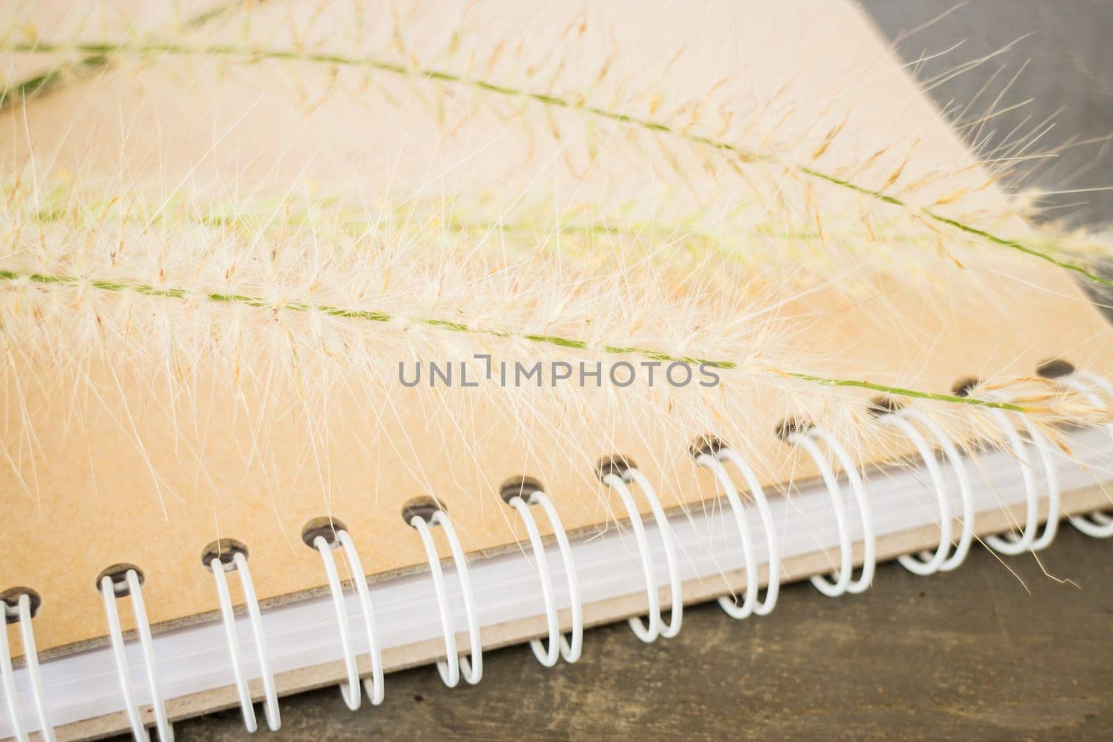 Simple decorate of creative work table, stock photo