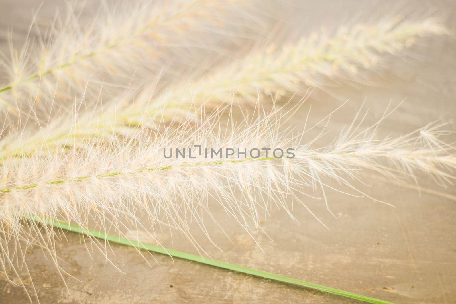 Simple decorate of creative work table, stock photo