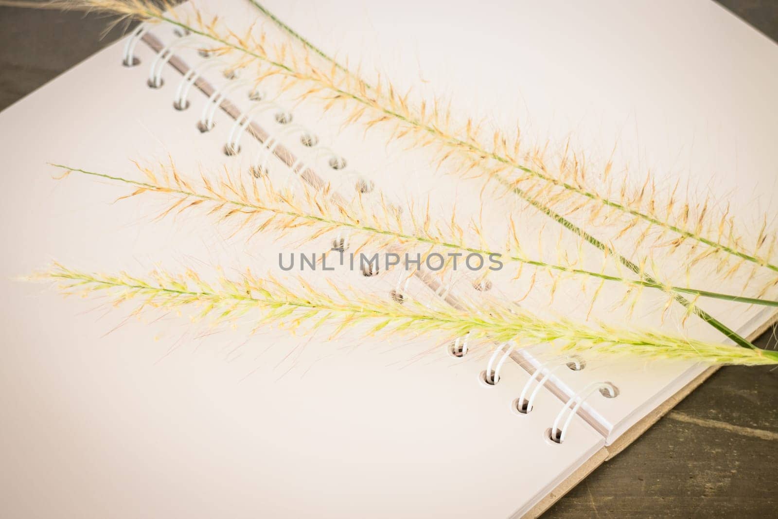 Simple decorate of creative work table, stock photo