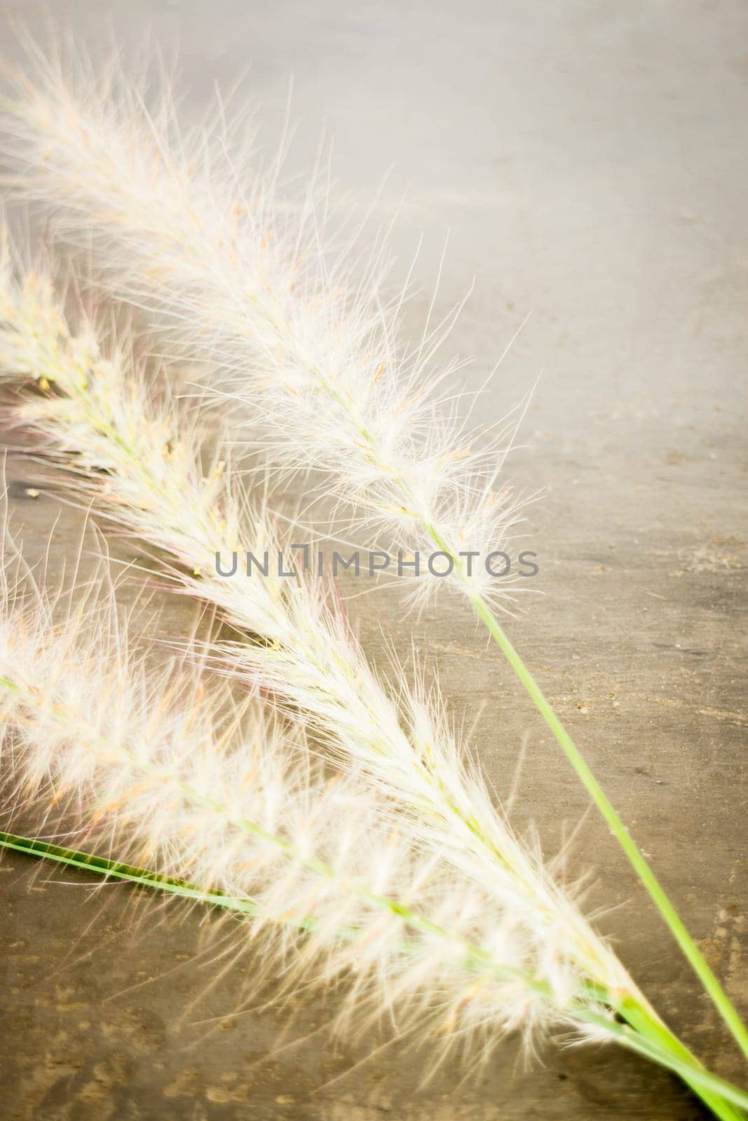 Simple decorate of creative work table, stock photo
