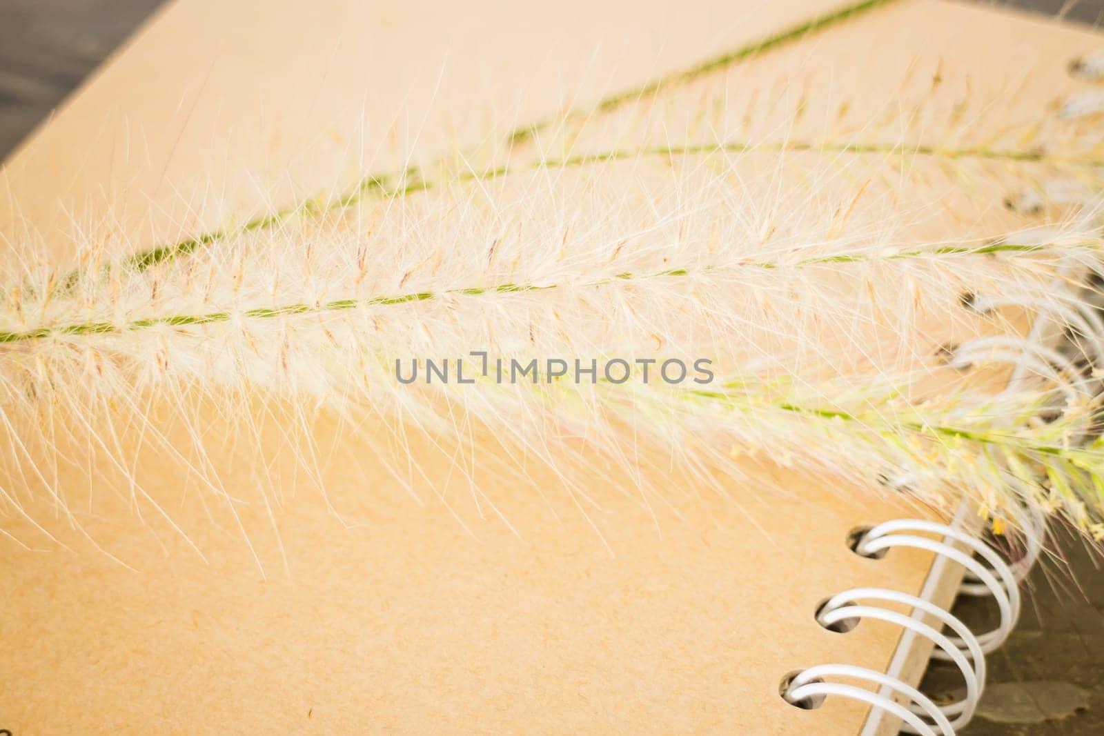Simple decorate of creative work table, stock photo