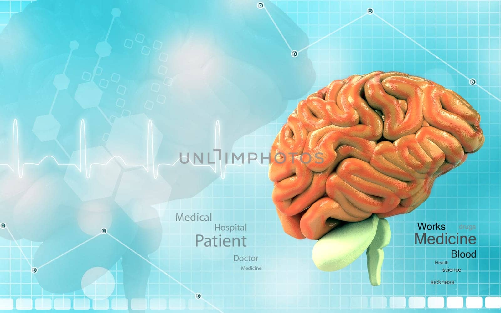 Digital illustration of brain in colour background