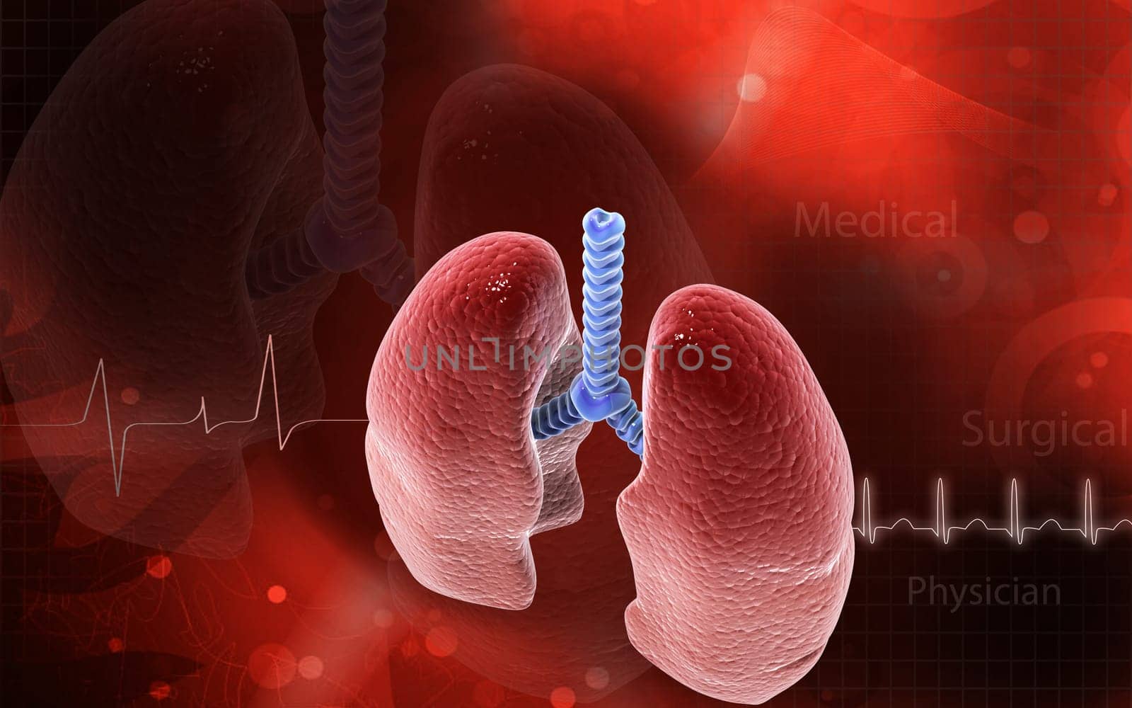Digital illustration of human lungs in colour background