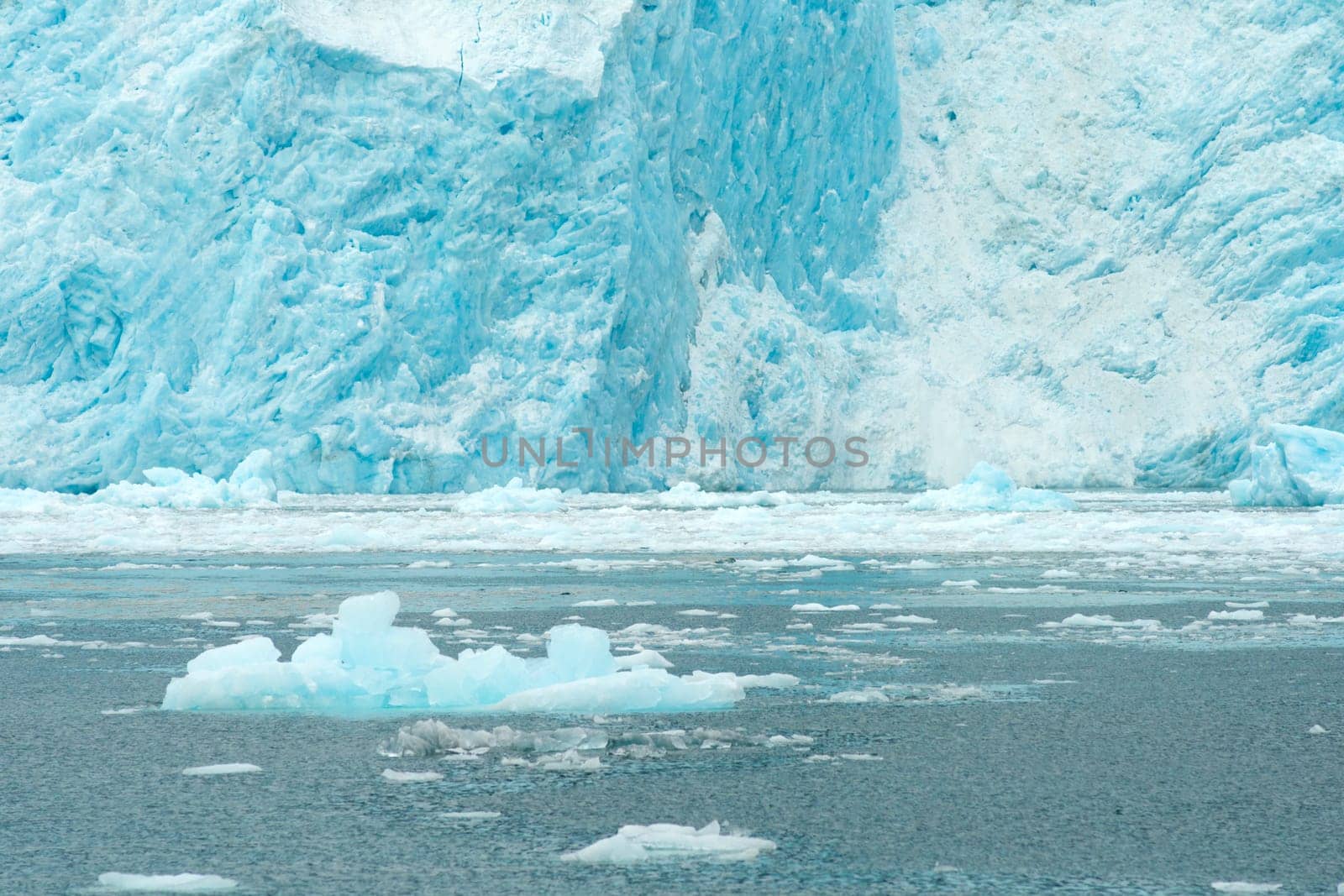 Little Icebergs float of from Glacier Calving