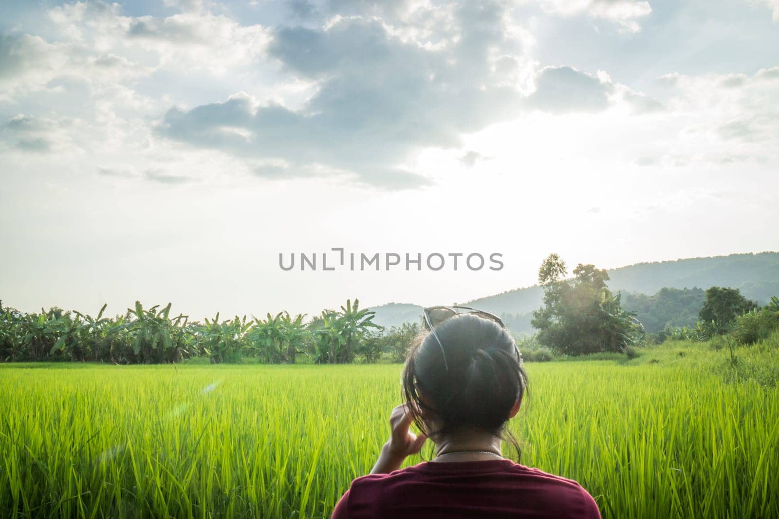 Asian woman enjoy green scenery of  rice field, stock photo