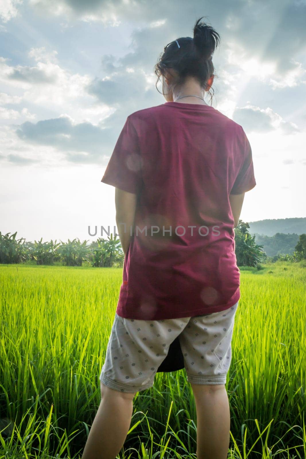 Asian woman enjoy green scenery of  rice field, stock photo