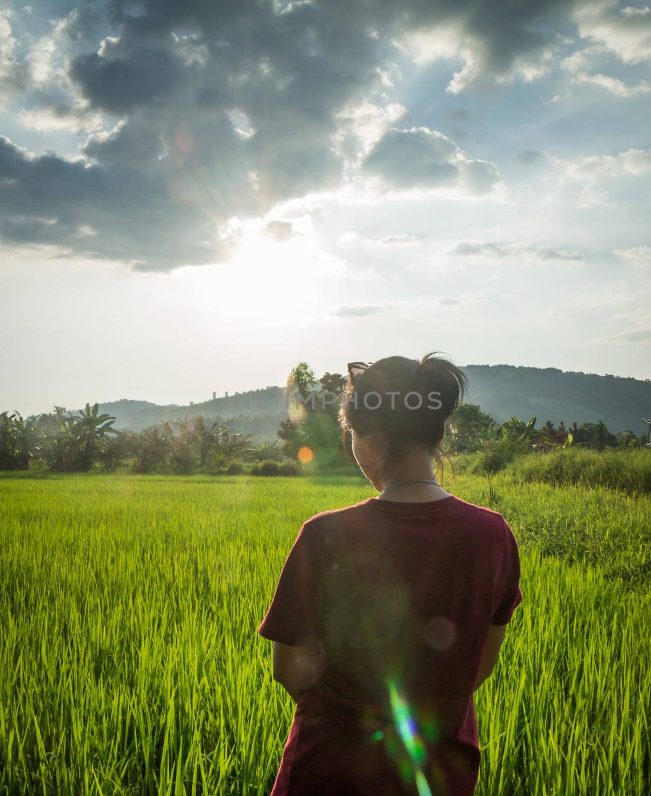 Asian woman enjoy green scenery of  rice field, stock photo