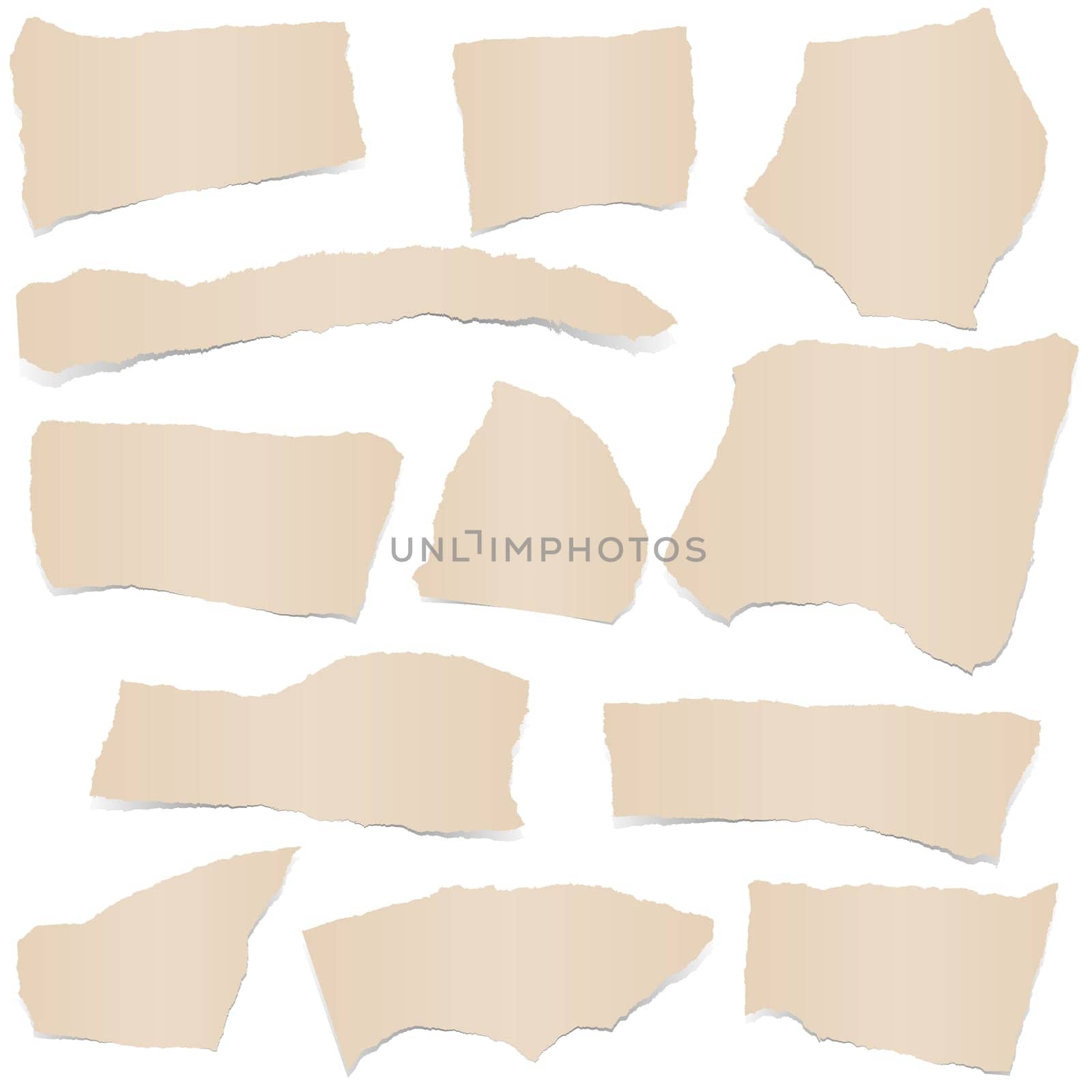 collection of brown colored scraps of papers with shadows