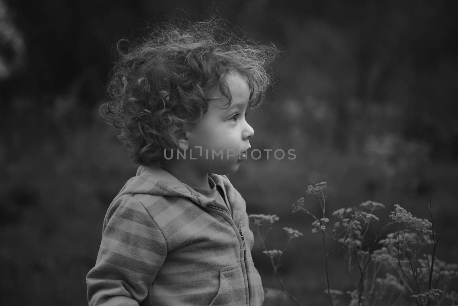 1 year old baby boy walking through the countryside.