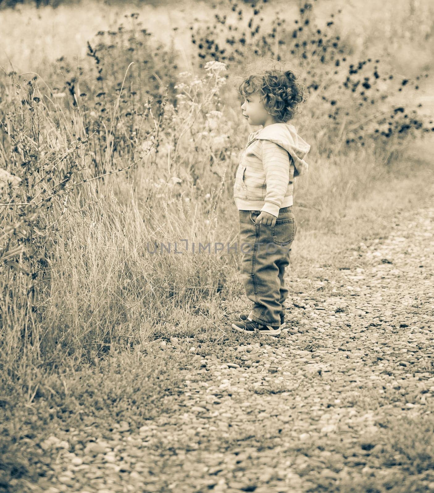1 year old baby boy walking through the countryside.