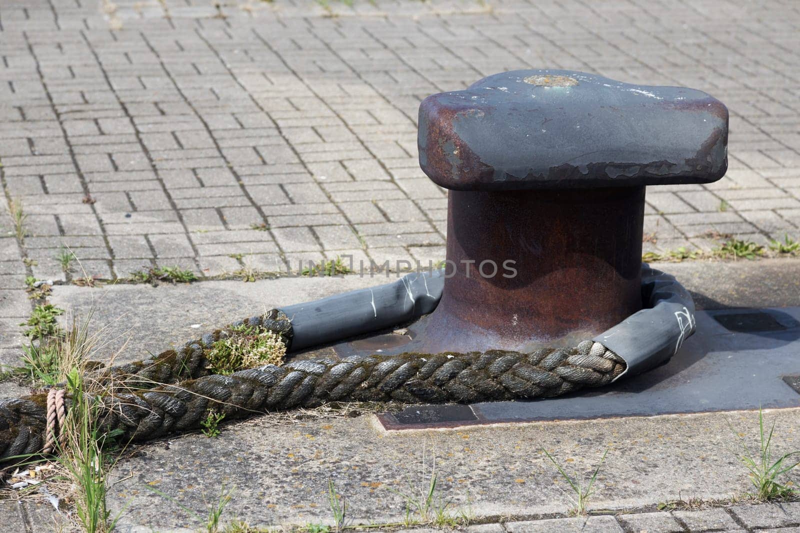 Weathered rope around a mooring in the port of Warnemünde