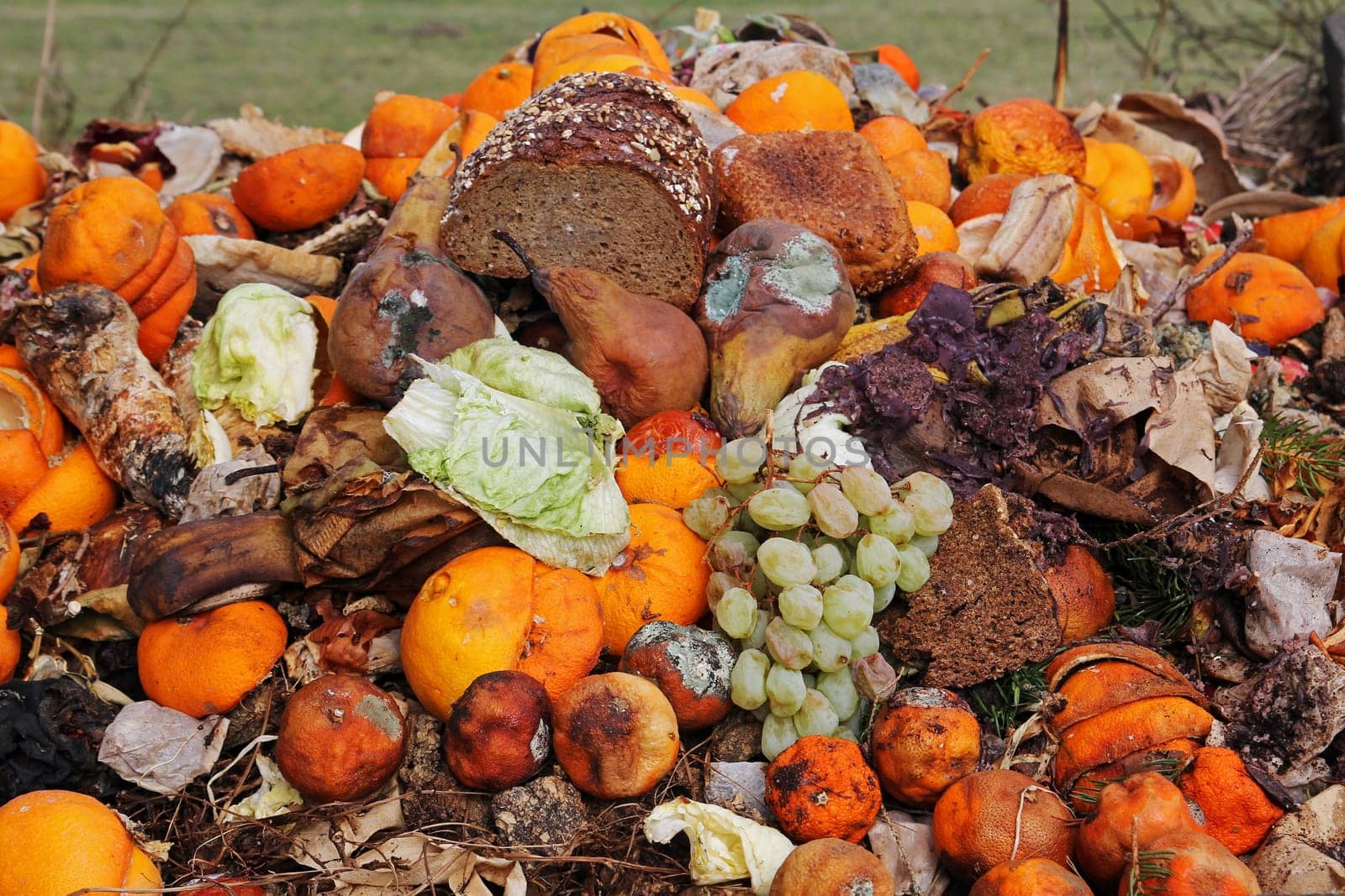 Discarded fruit and bread on the organic waste