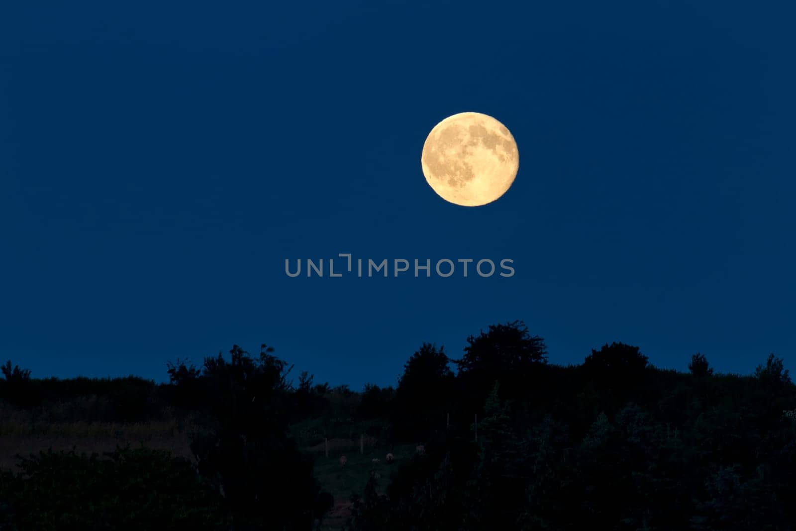 Full moon in the night sky over Alt Reddevitz/Mönchgut,island of Rügen