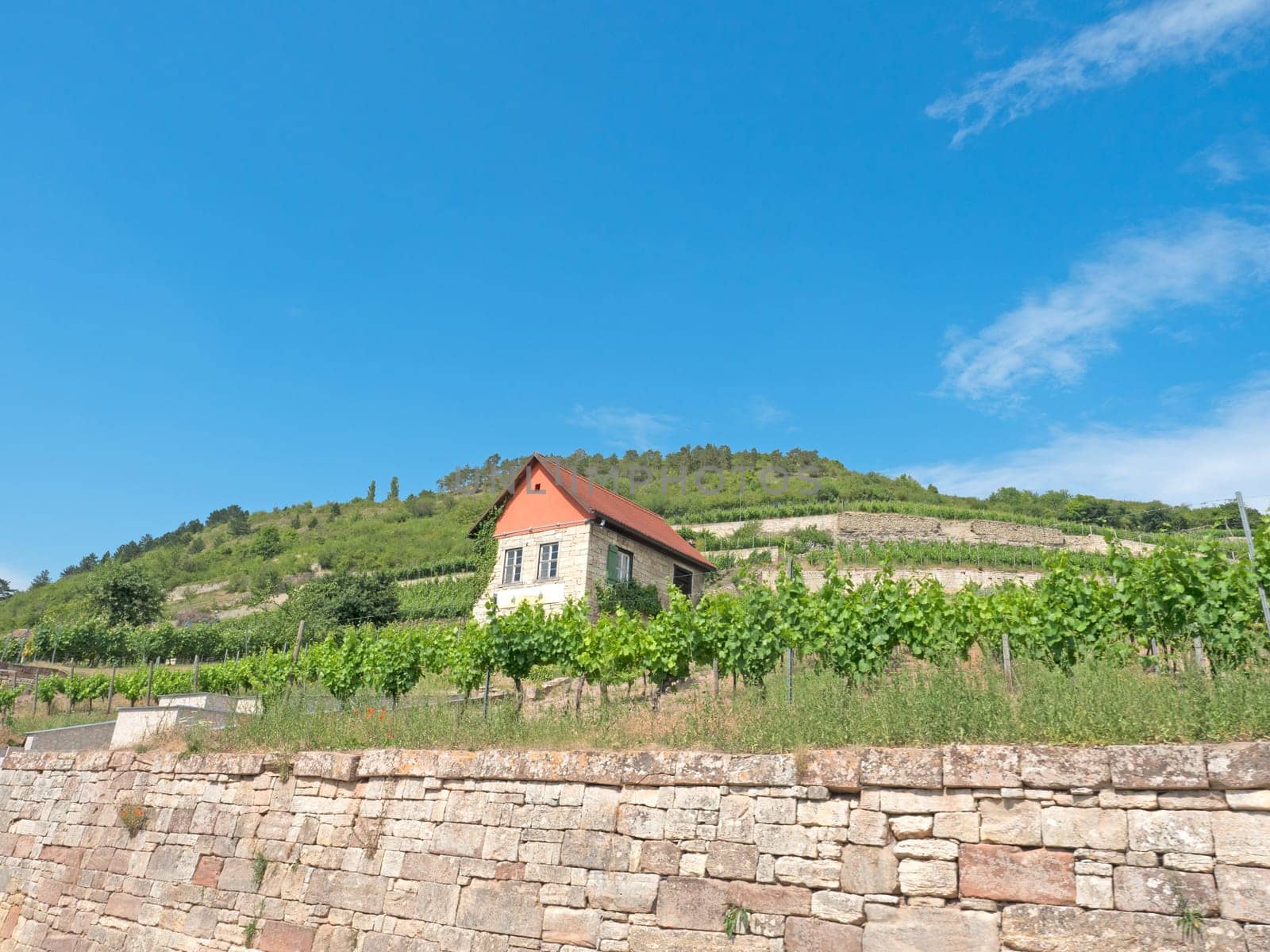 Landscape in the wine-growing region Saale-Unstrut