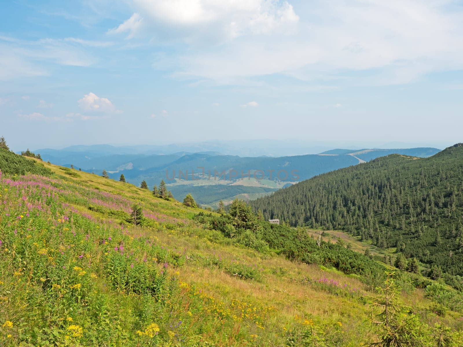Landscape in the Low Tatras