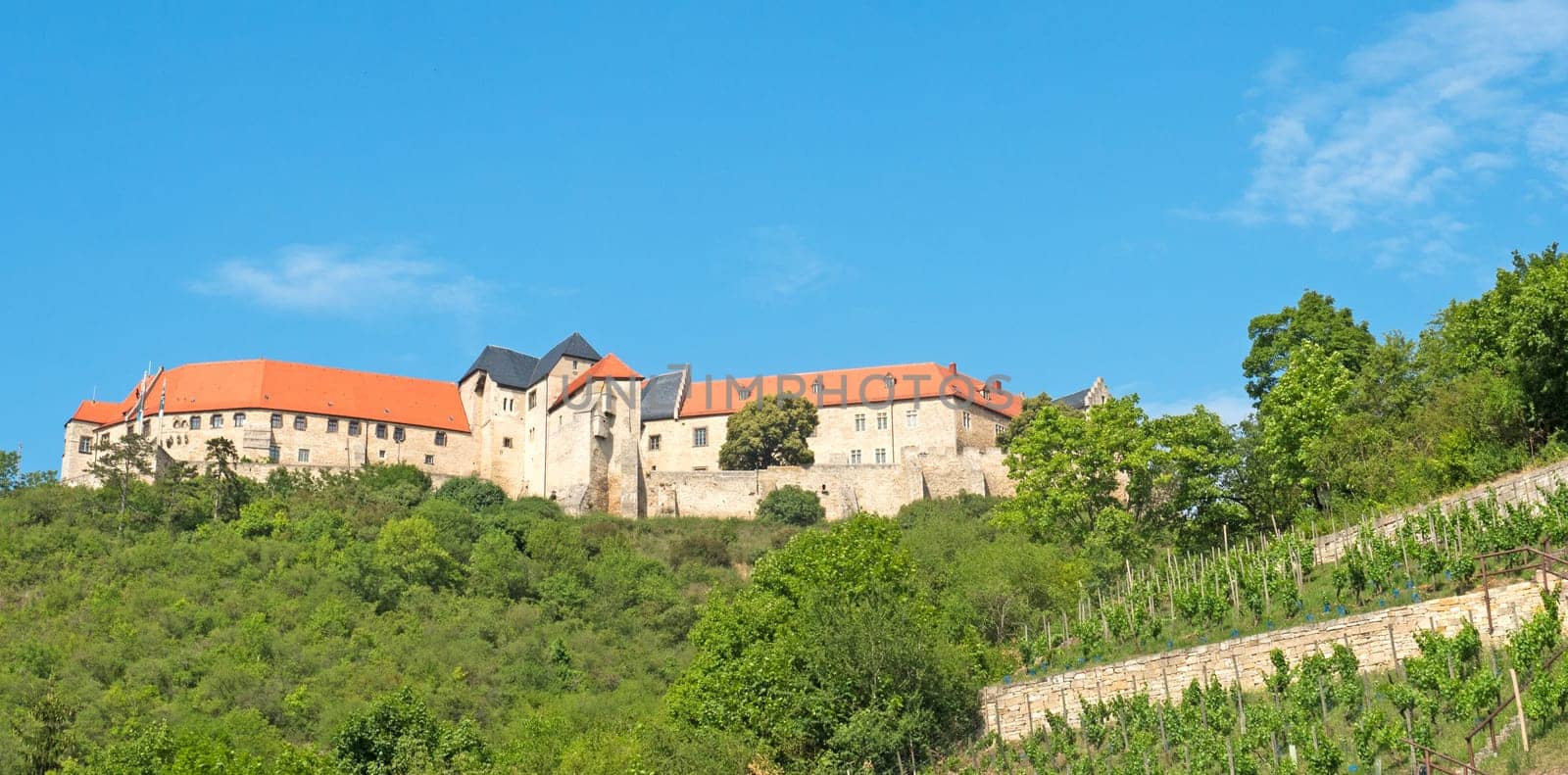 Freyburg Castle with vineyard