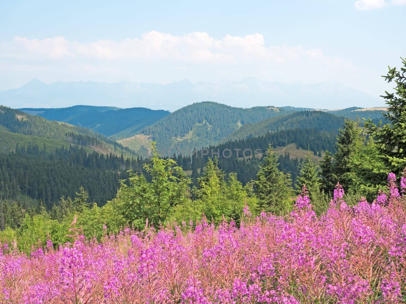 Landscape in the Low Tatras