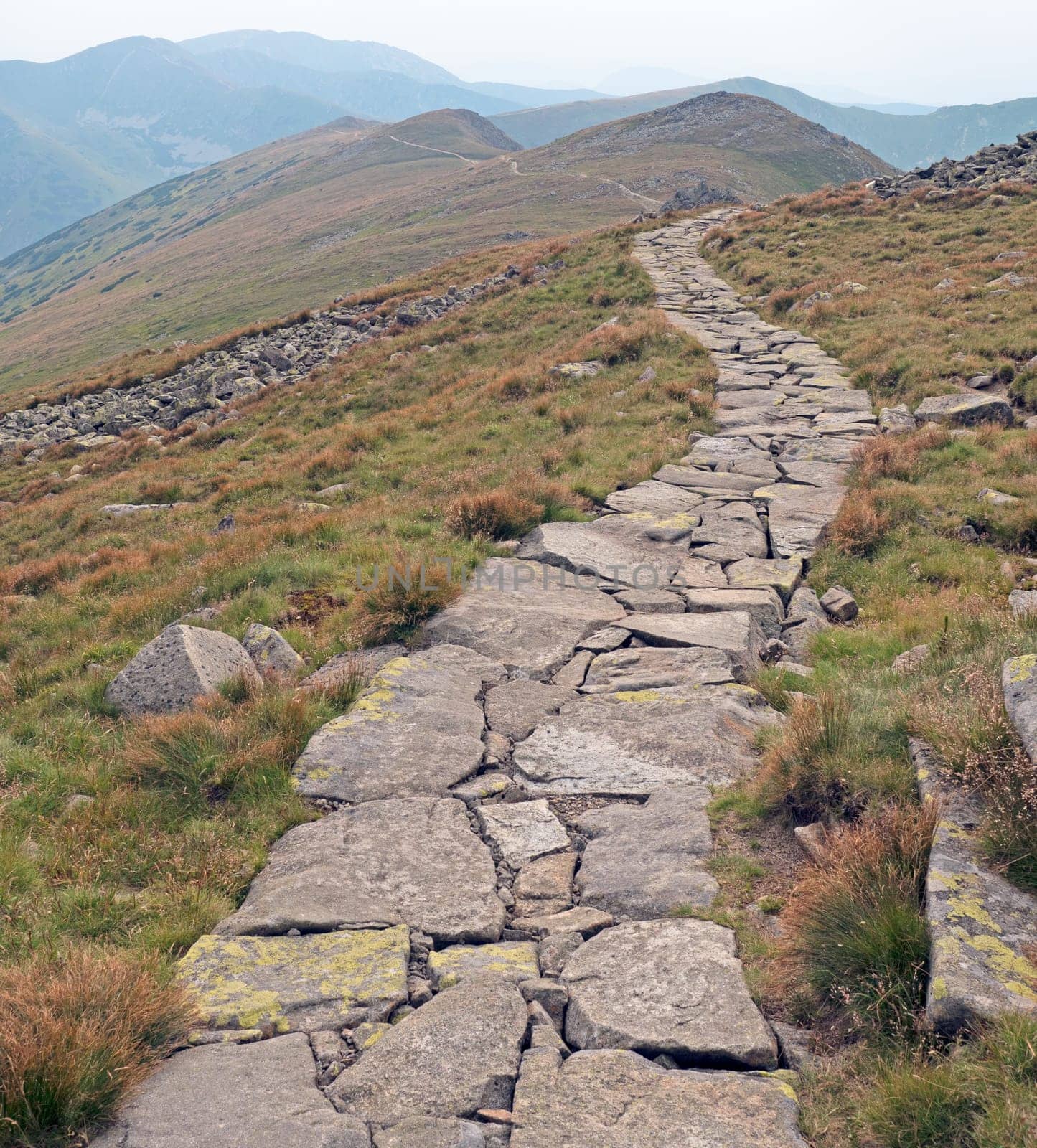 Path in the mountains