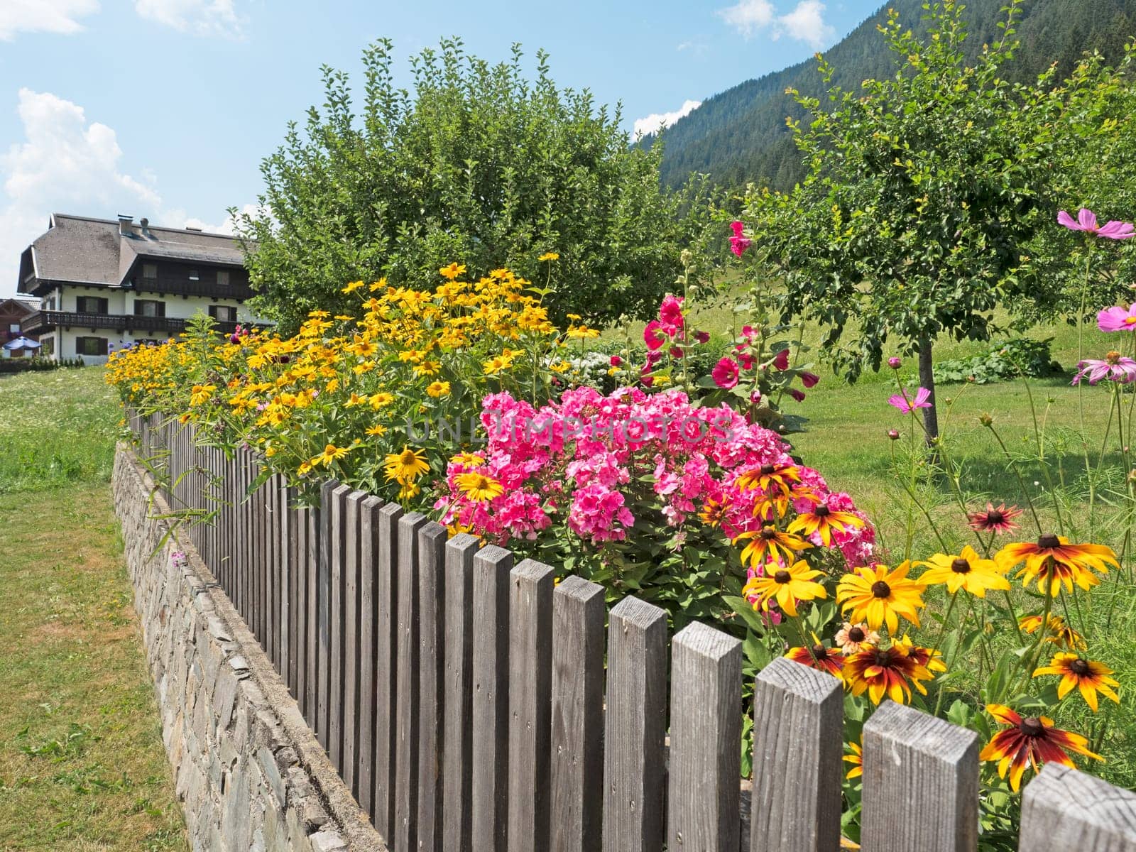 Flower garden in summer