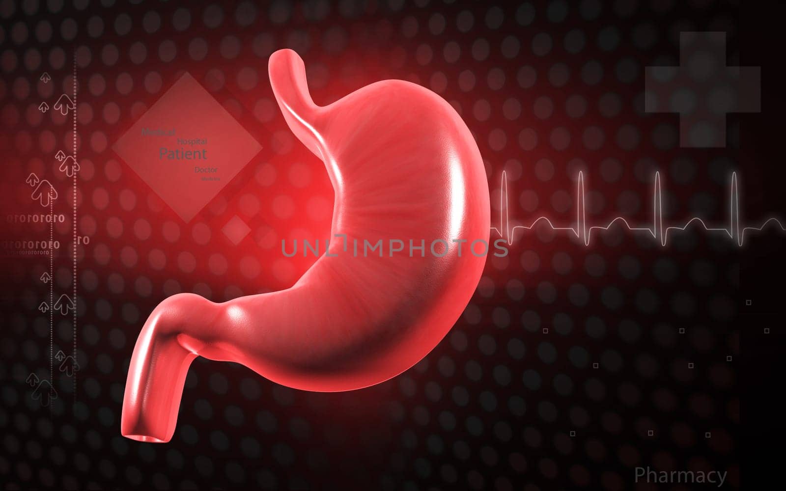 Digital illustration of stomach in colour background