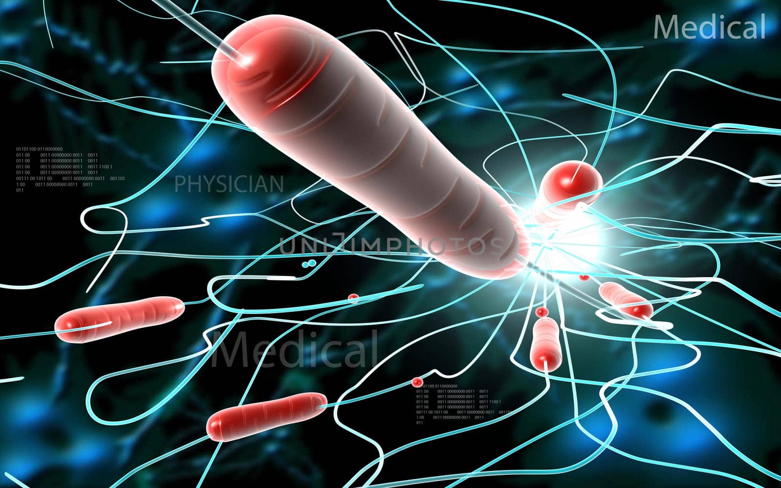 Digital illustration of cholera bacteria in colour background