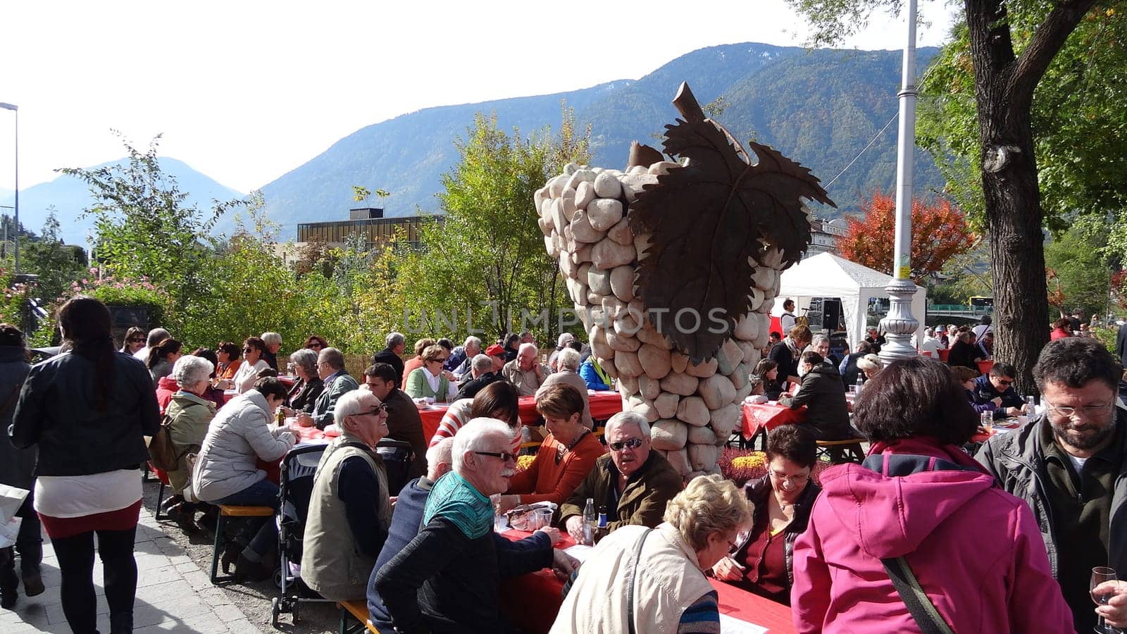 The harvest is also called autumn. In South Tyrol,people also speak of Törggelen