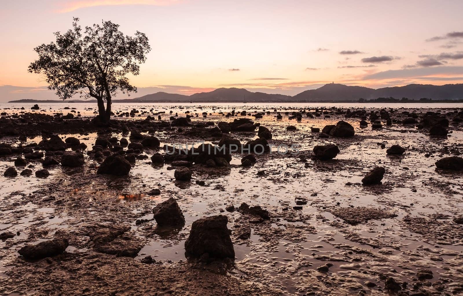 Seascape colorful with color of sunset in twilight, Phuket thailand