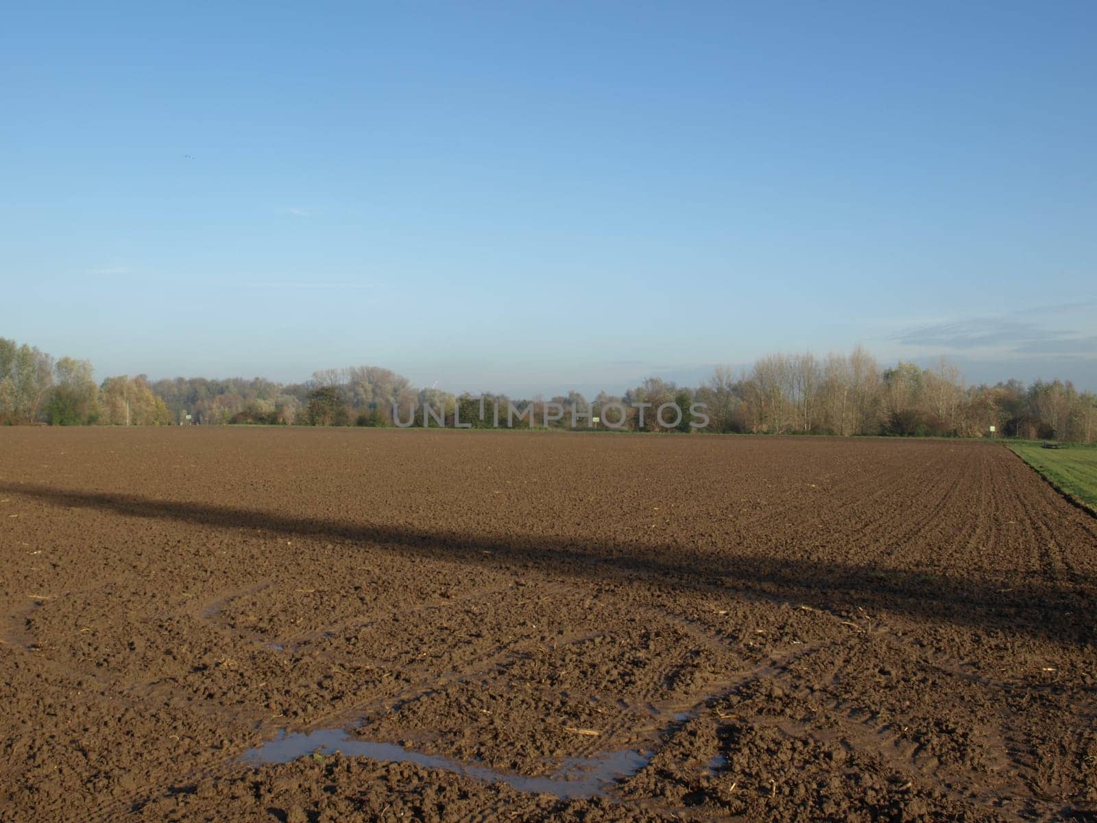 Plowed field
