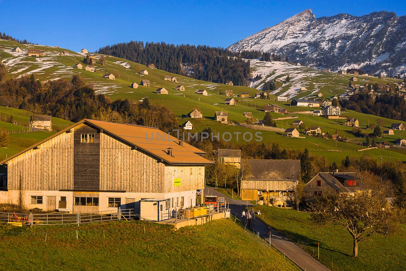 Scattered settlement Amden