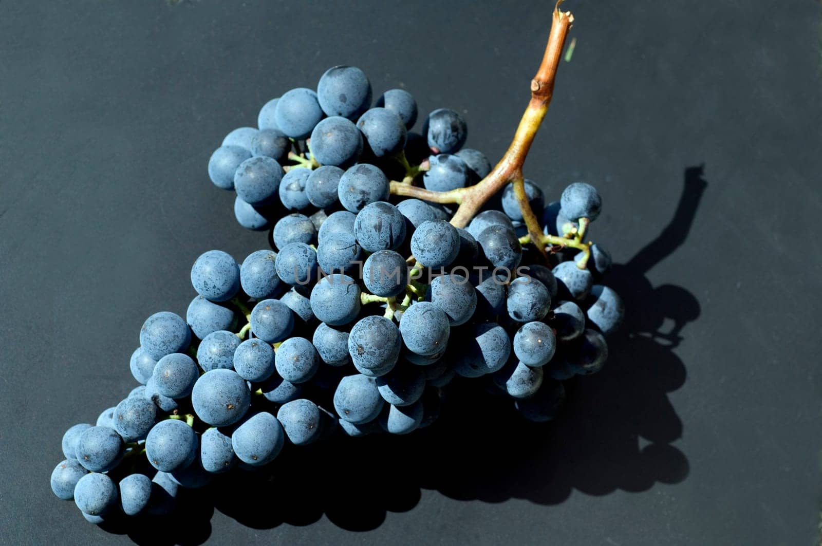 Dornfelder, Rotwein, Rote, Weintrauben