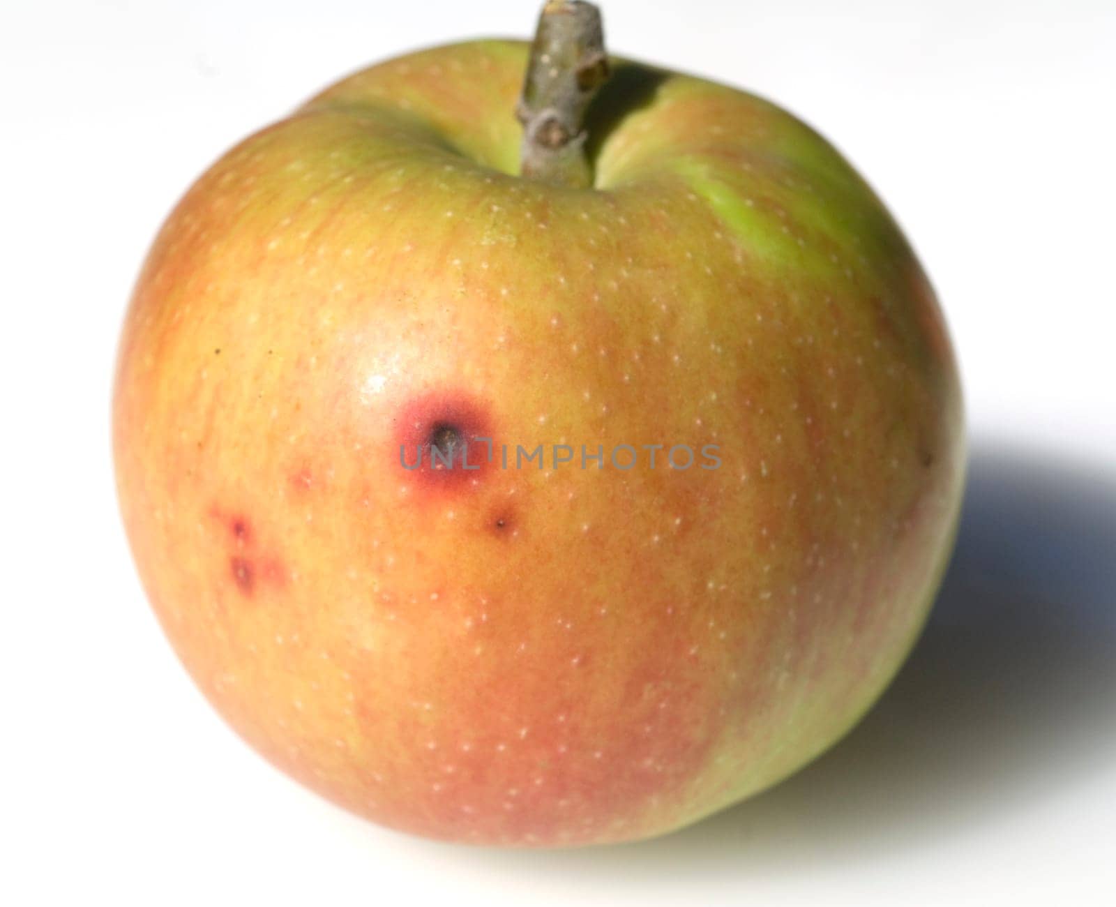 Boskoop, Hagelschlag