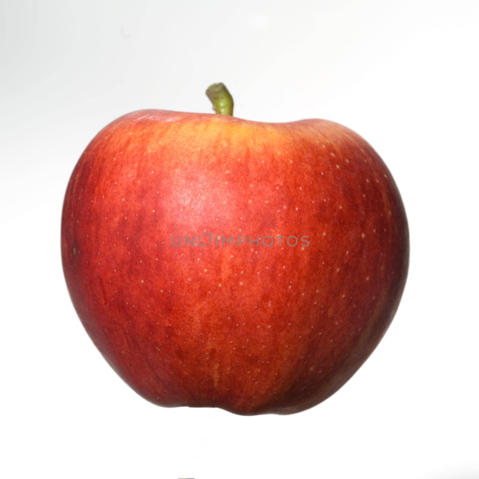 Elstar, Apfel, Malus, domestica
