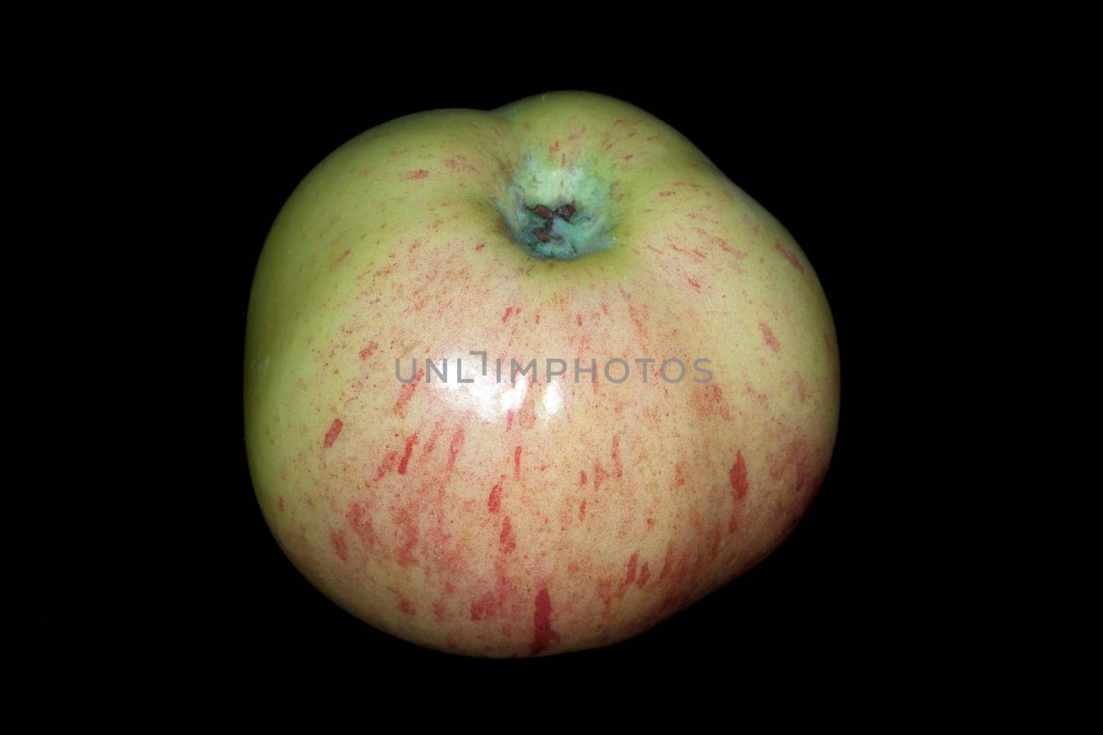 Gravensteiner, Apfel, Malus, domestica