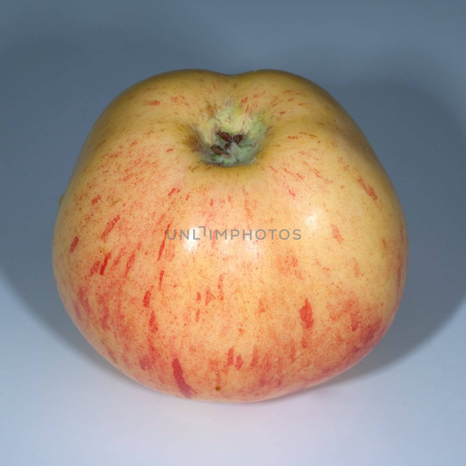 Gravensteiner, Apfel, Malus, domestica