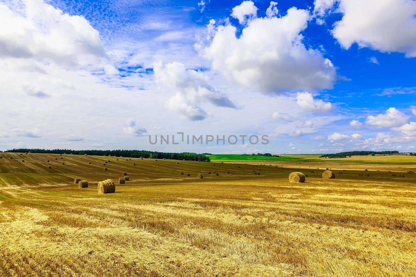 Round Straw Bales in a Stubble Field at end of Summer at Day with Clouds after Harvest