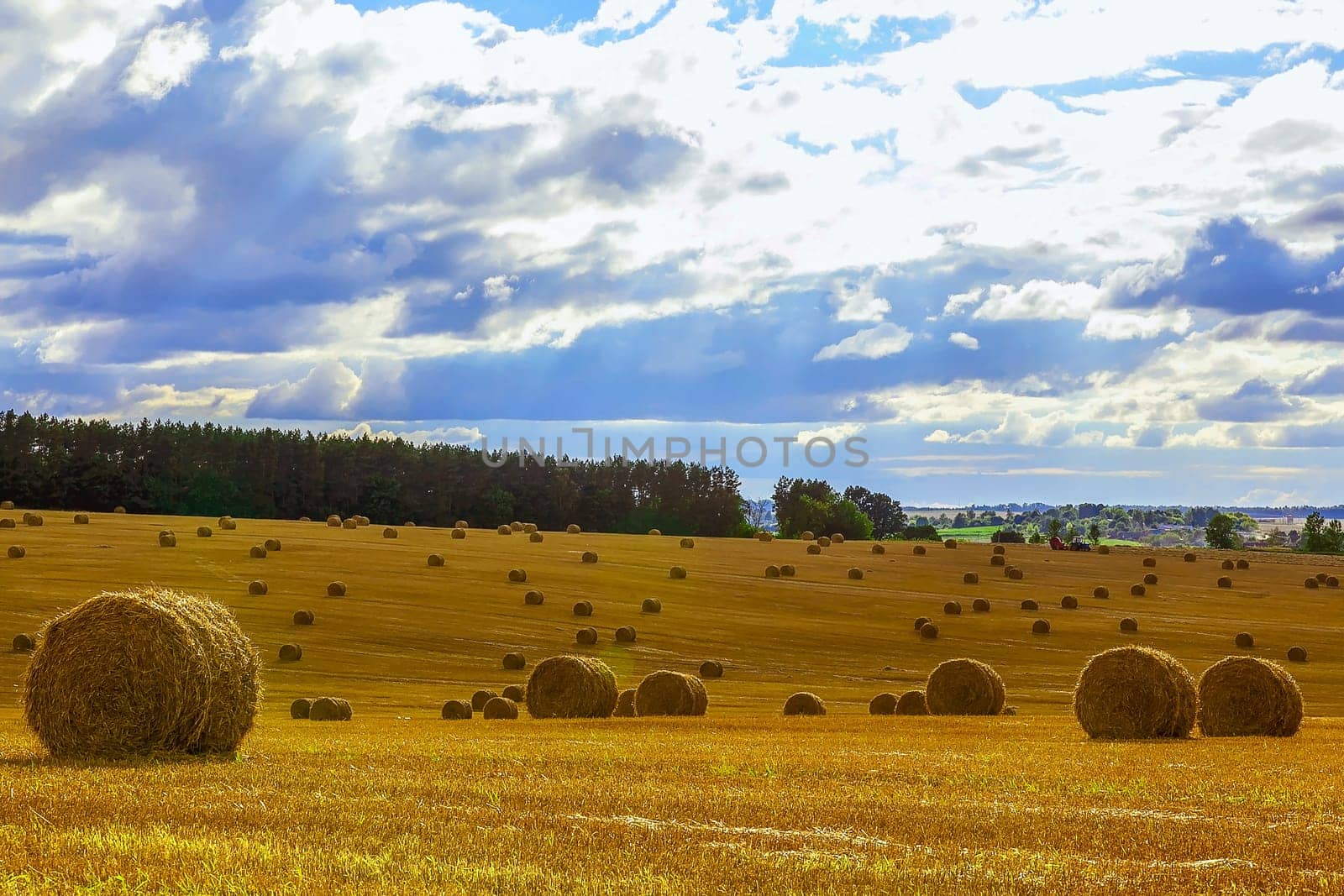 Yellow Straw Bales in a  Field at end of Summer at Day with Blue Sky, Clouds after Harvest