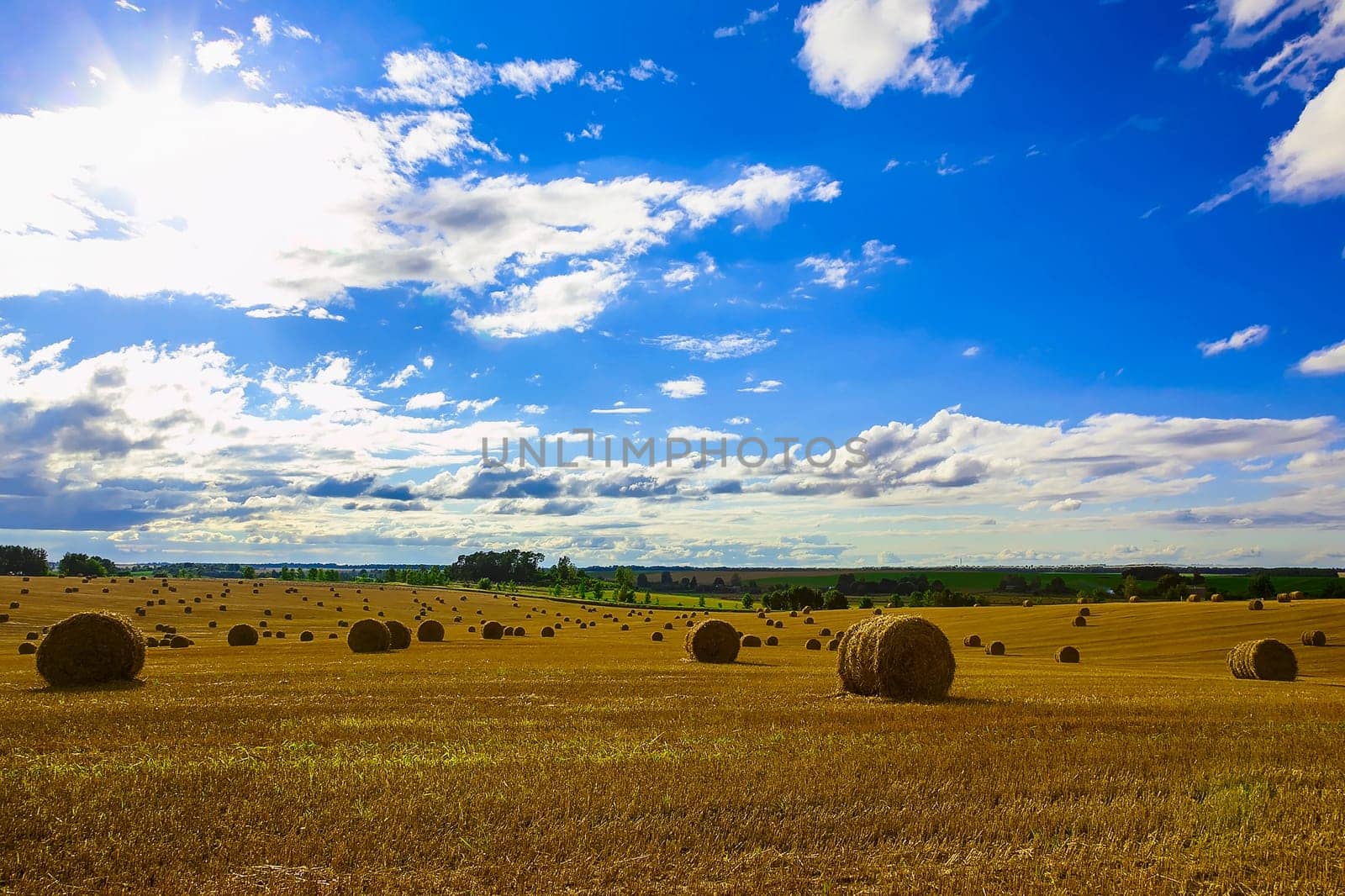 Yellow Straw Bales in a Stubble Field at end of Summer at Day with Clouds, Blue Sky after Harvest