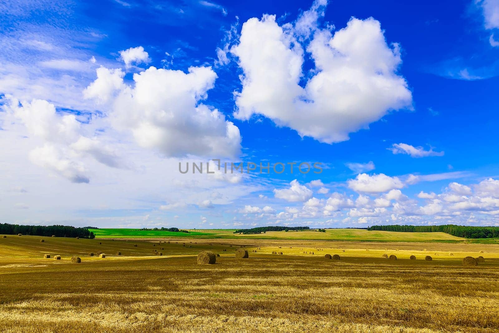 Round Straw Bales in a Stubble Field at end of Summer at Day with Clouds and Blue Sky after Harvest