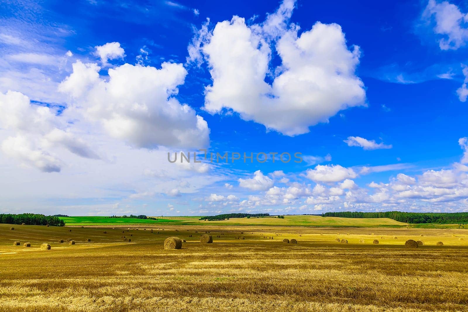 Round Straw Bales in a Stubble Field at end of Summer at Day with Blue Sky and Clouds after Harvest