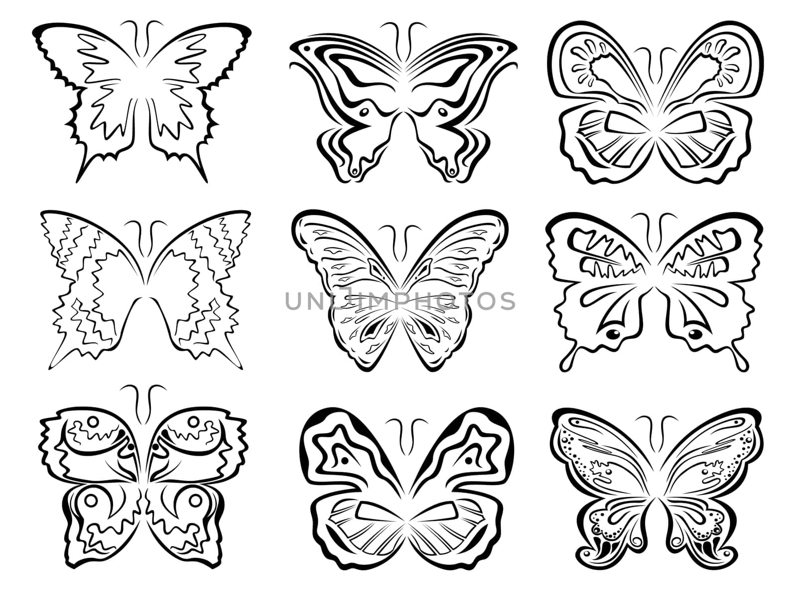 Set of six black butterflies contours over white, hand drawing vector artwork