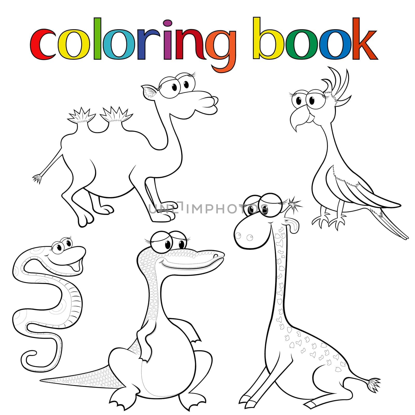 Set of animals for coloring book with giraffe, parrot, camel, boa, crocodile and camel, cartoon vector illustration