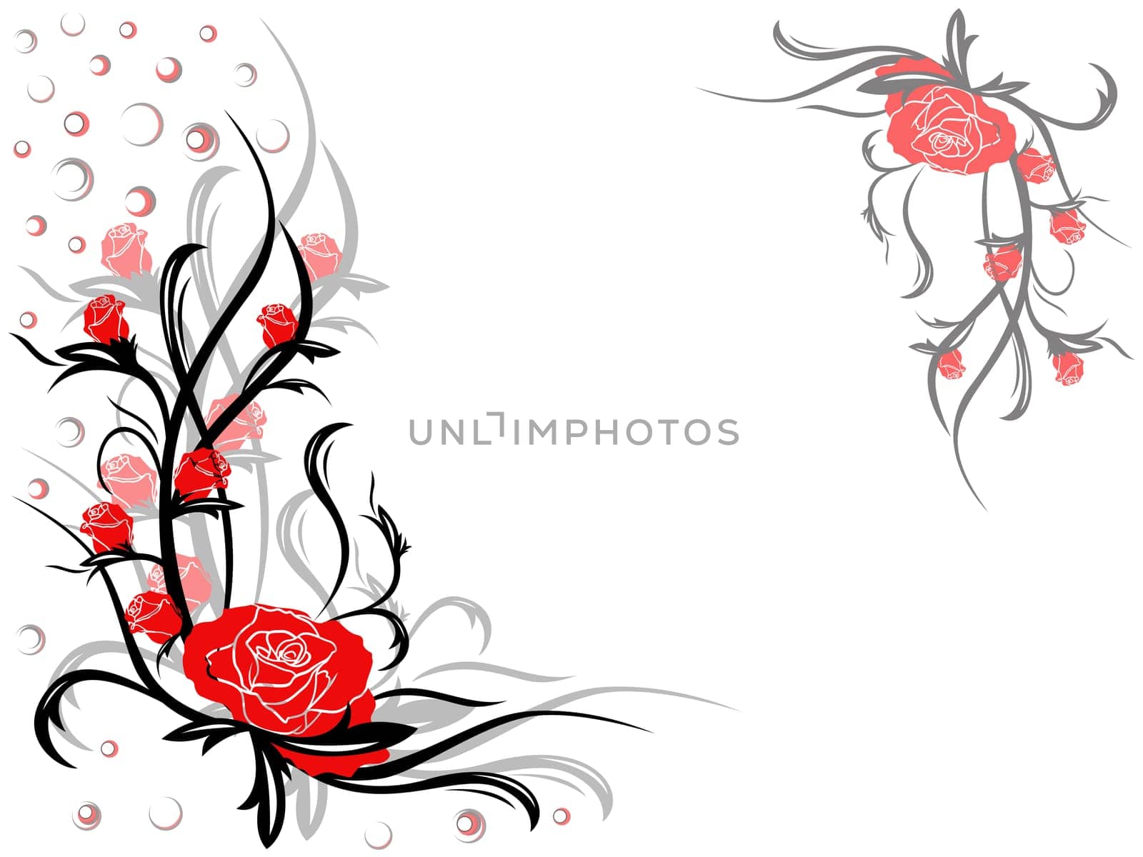 Floral swirl vector postcard with red rose flowers on white background