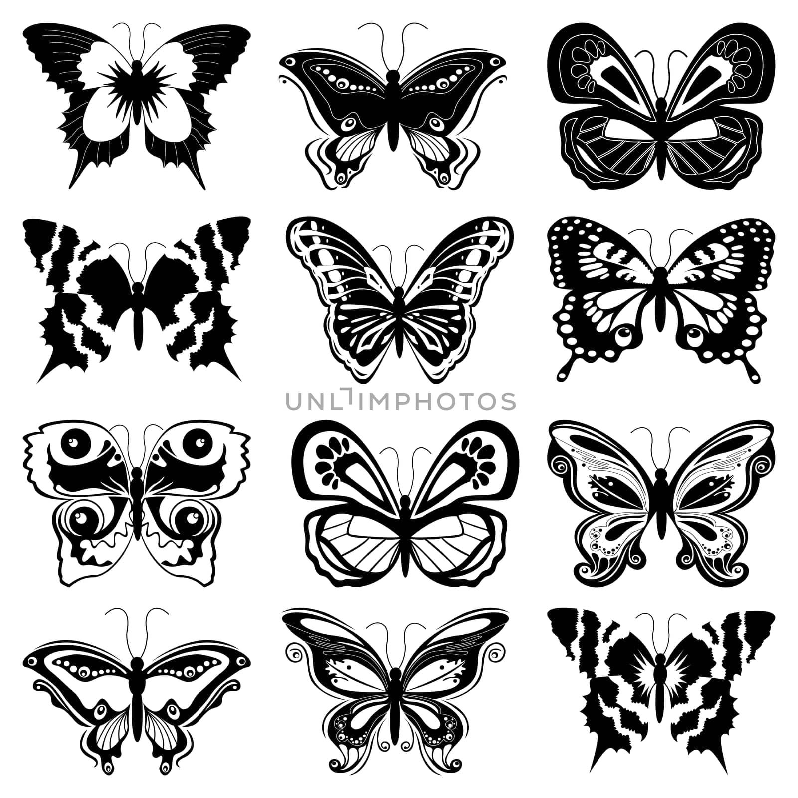 Set of twelve black butterfly silhouettes on a white background, hand drawing vector illustration