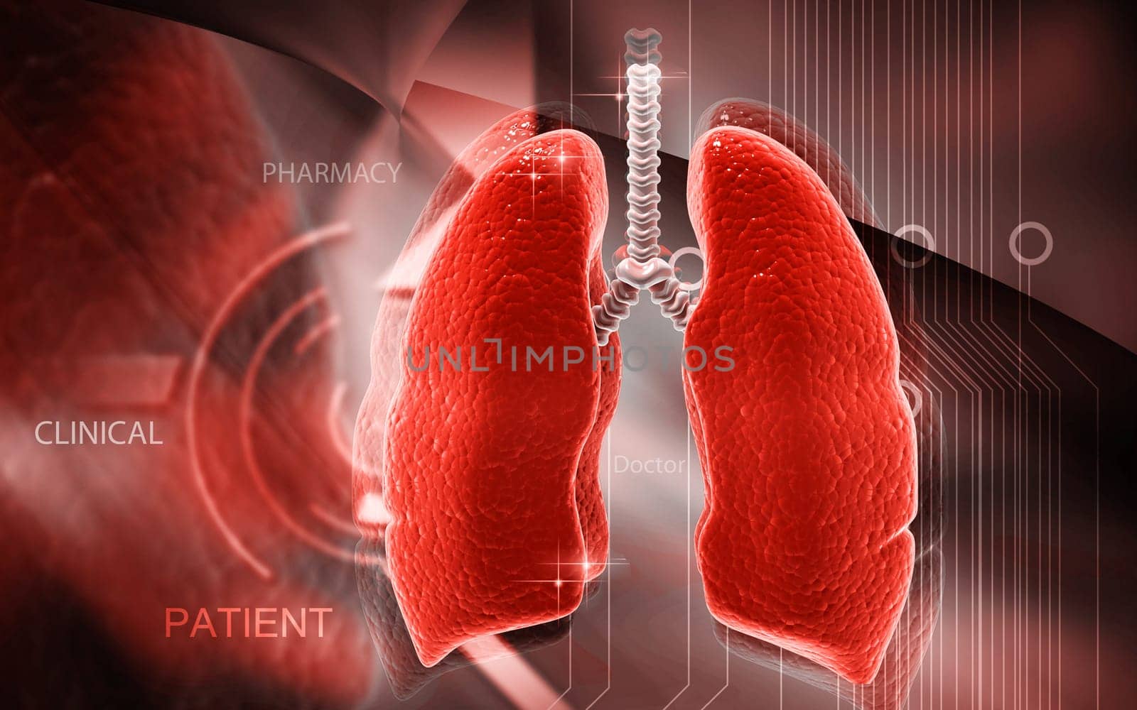 Digital illustration of human lungs in colour background