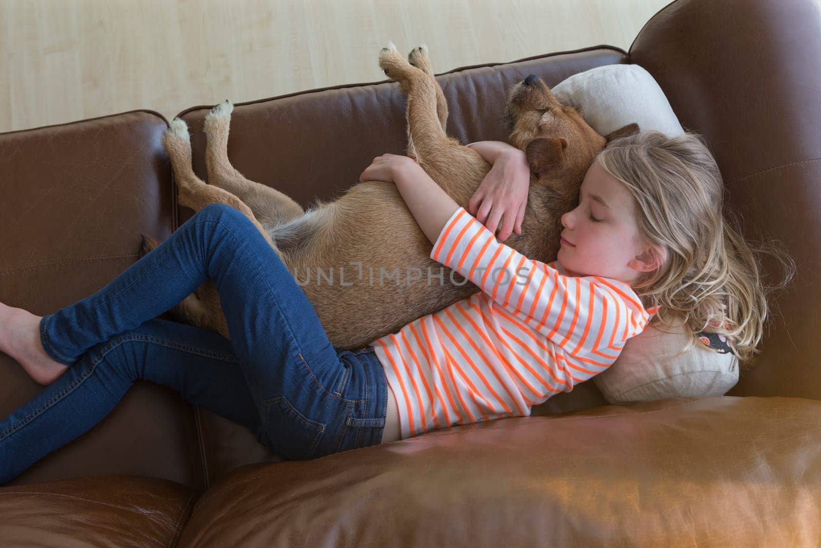 Ariel view of a young girl cuddling her pet dog on a sofa a t home.