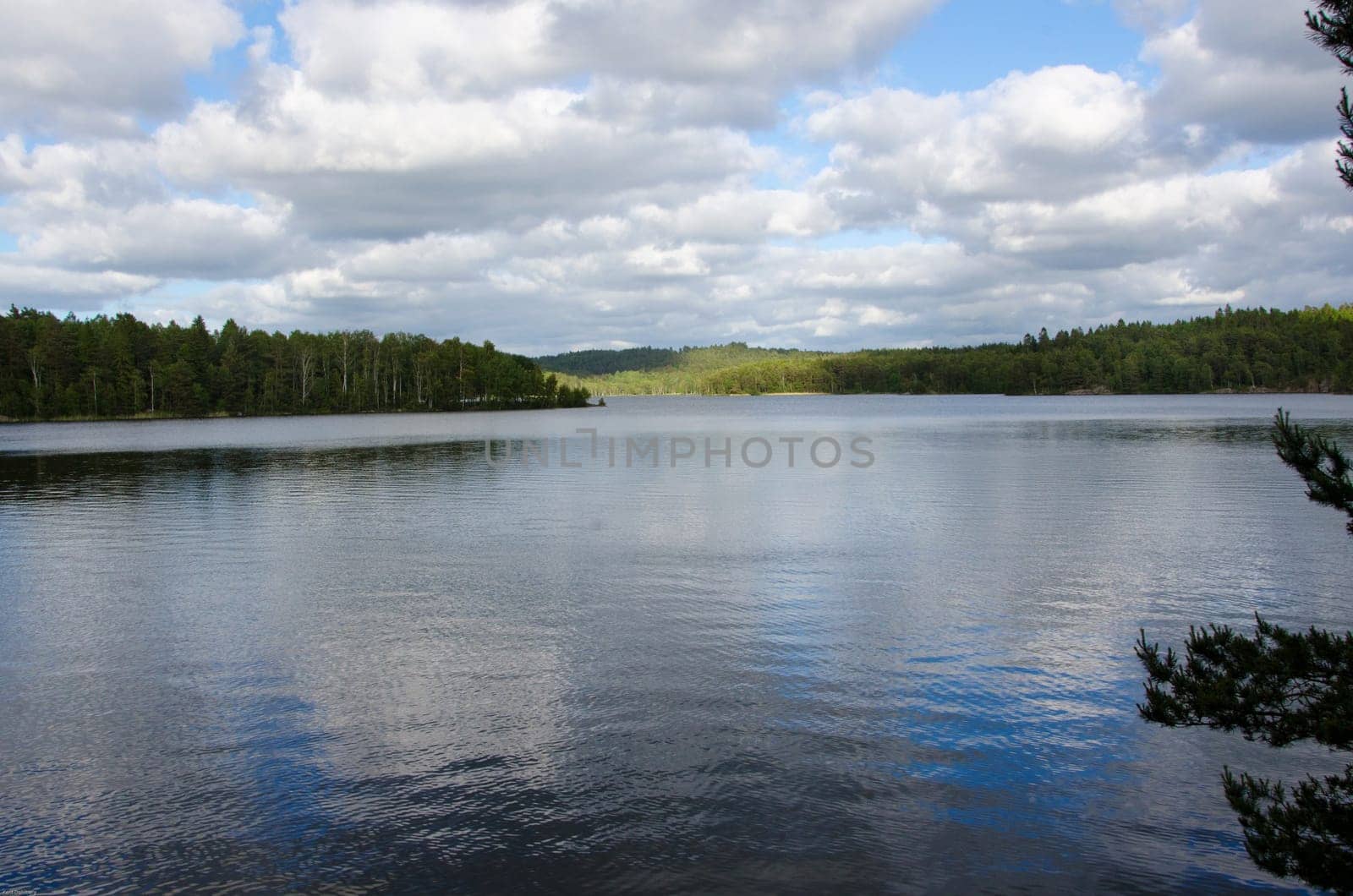 swedish lake with lot of forrest and clouds