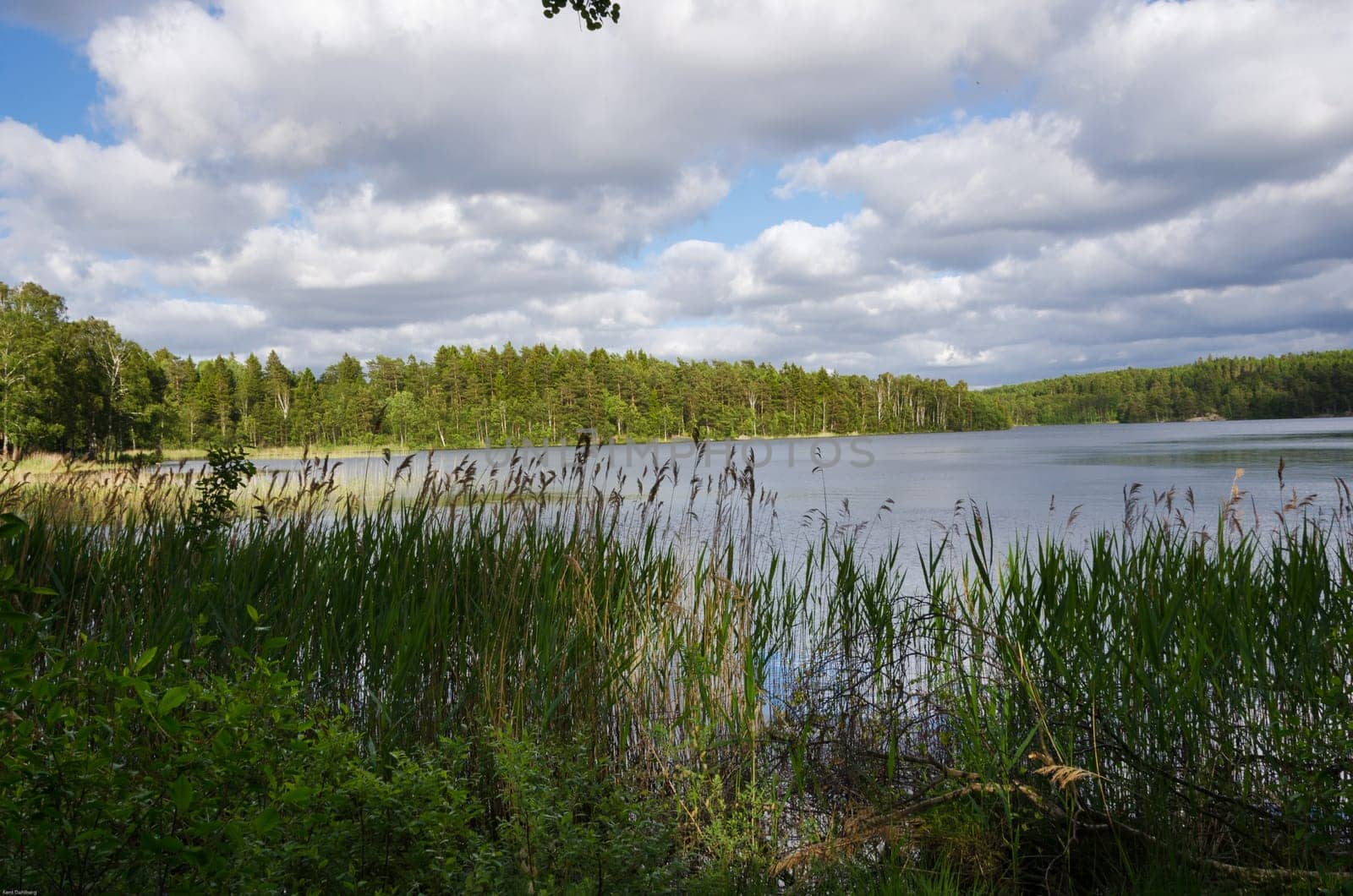 beutiful swedish natur with a lake and forrest and clouds on the sky