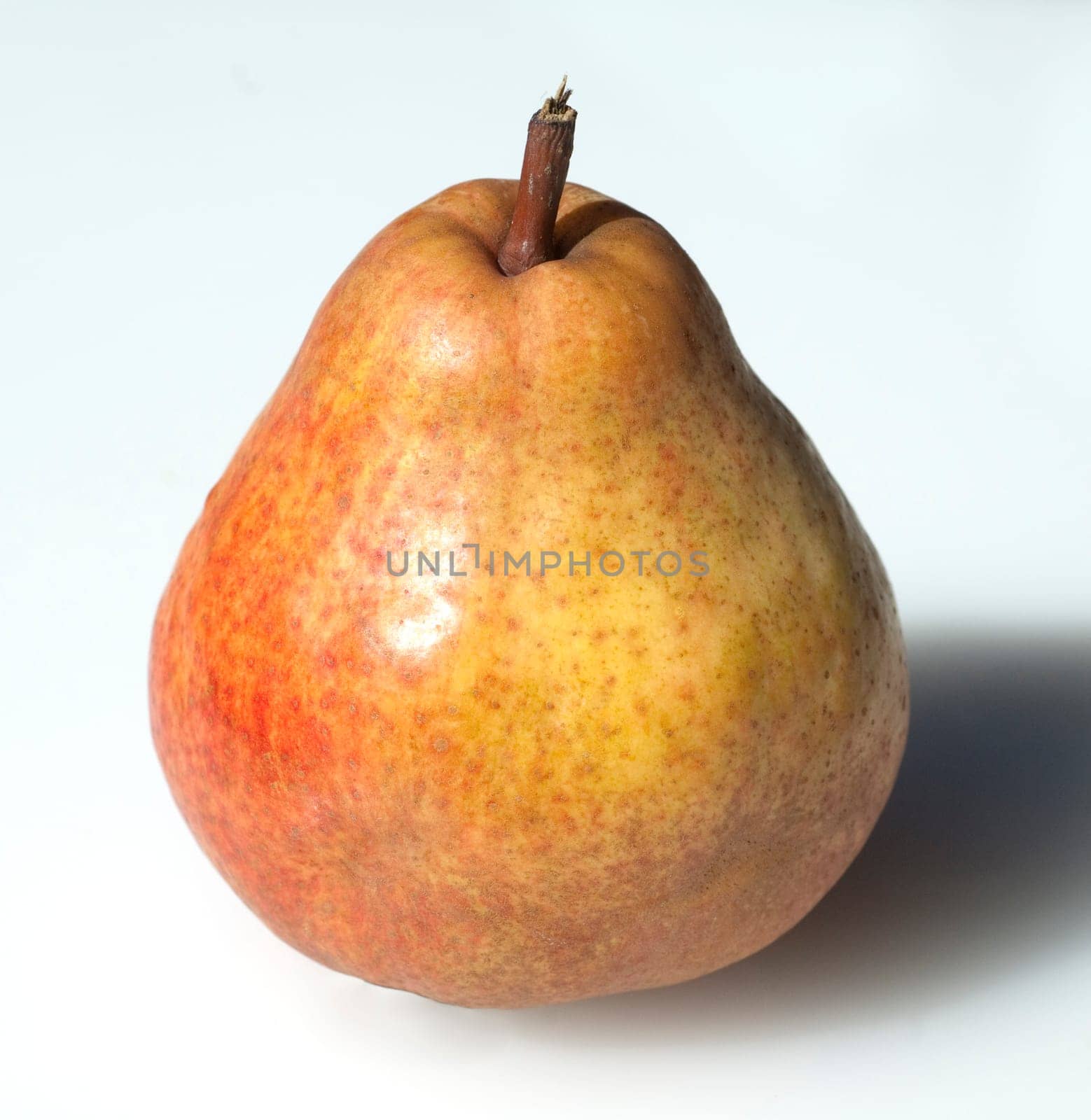 Williams, Christ, Birne, Pyrus communis